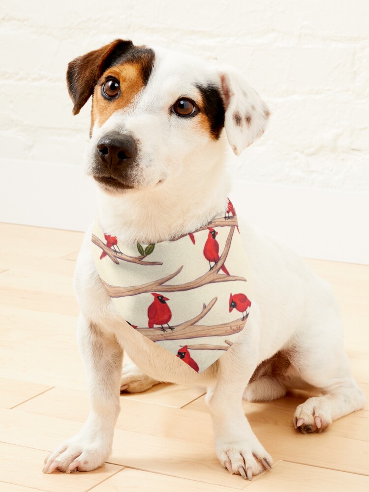 Cardinal Dog Bandana 