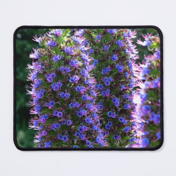 Item preview, Pride of Madeira Flowers 2 designed and sold by StephenPower.