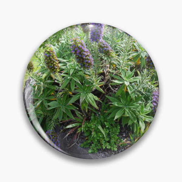 Item preview, Pride of Madeira Flowers 3 designed and sold by StephenPower.