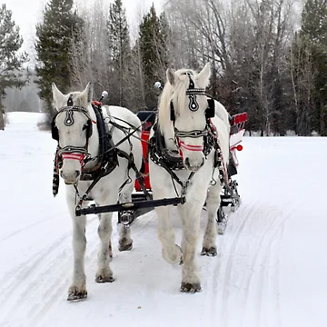 Artwork thumbnail, Sleigh Ride by Danny Key