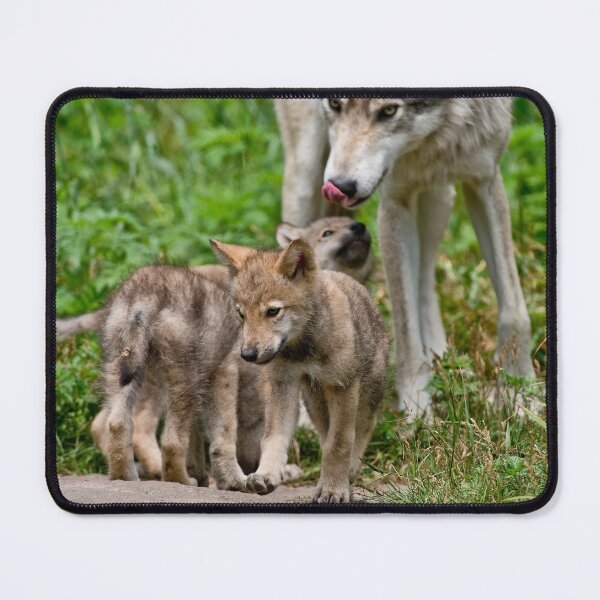 Item preview, Timber Wolf And Pups designed and sold by WolvesOnly.