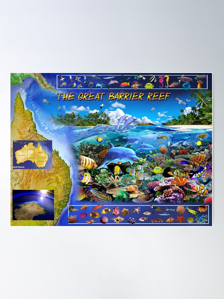 The Great Barrier Reef