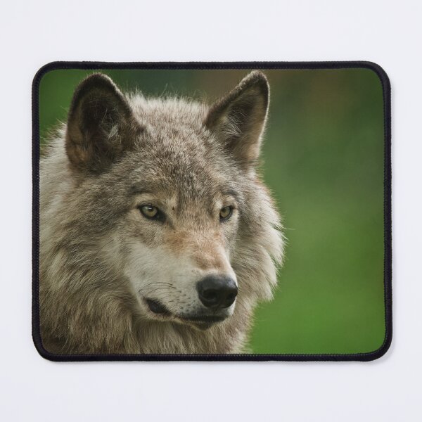 Item preview, Timber Wolf designed and sold by WolvesOnly.