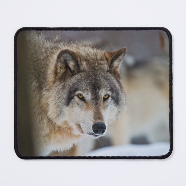 Item preview, Timber Wolf designed and sold by WolvesOnly.