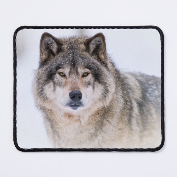 Item preview, Timber Wolf designed and sold by WolvesOnly.