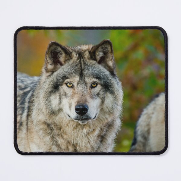 Item preview, Timber Wolf designed and sold by WolvesOnly.