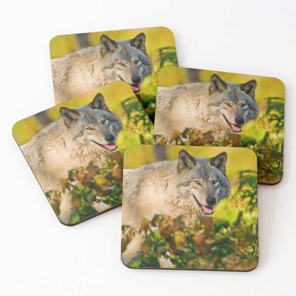 Item preview, Timber Wolf designed and sold by WolvesOnly.