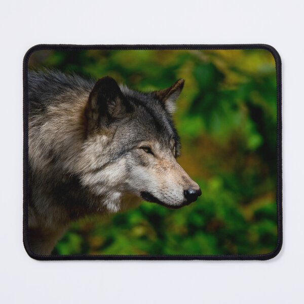 Item preview, Timber Wolf designed and sold by WolvesOnly.