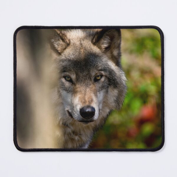 Item preview, Timber Wolf designed and sold by WolvesOnly.