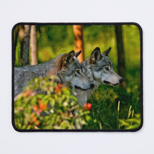 Item preview, Timber Wolves designed and sold by WolvesOnly.