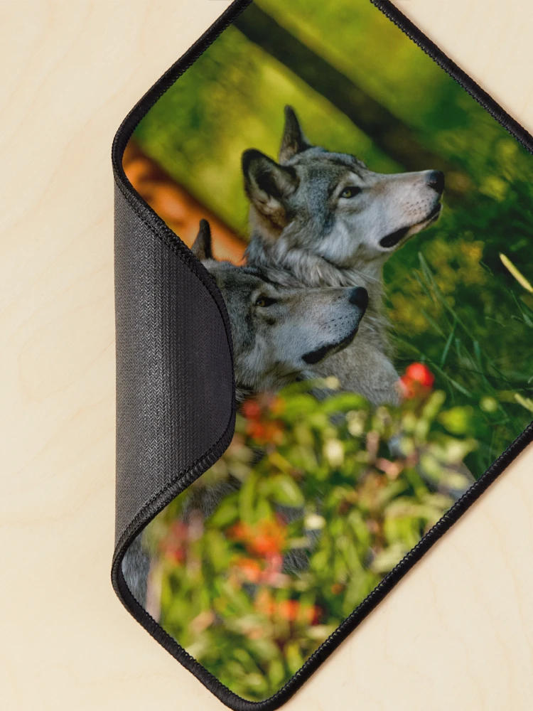 Thumbnail 2 of 5, Mouse Pad, Timber Wolves designed and sold by WolvesOnly.