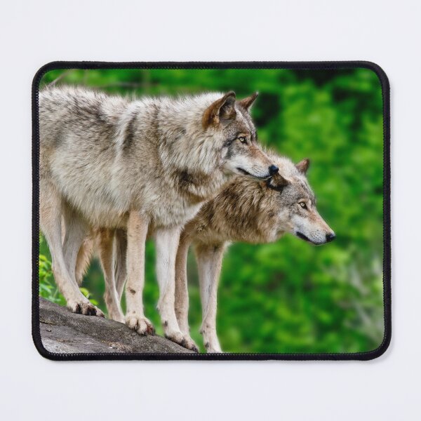 Item preview, Timber Wolves designed and sold by WolvesOnly.