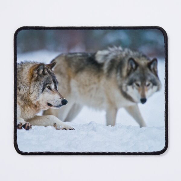 Item preview, Timber Wolves designed and sold by WolvesOnly.