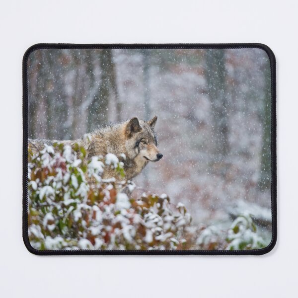 Item preview, Timber Wolf designed and sold by WolvesOnly.