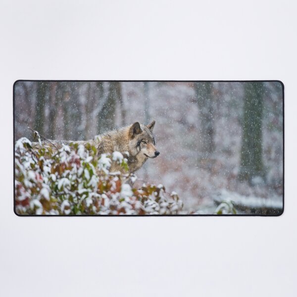 Artikelvorschau, Timber Wolf entworfen und verkauft von WolvesOnly.