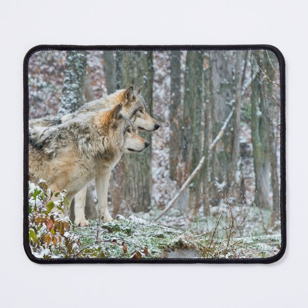 Item preview, Timber Wolves designed and sold by WolvesOnly.