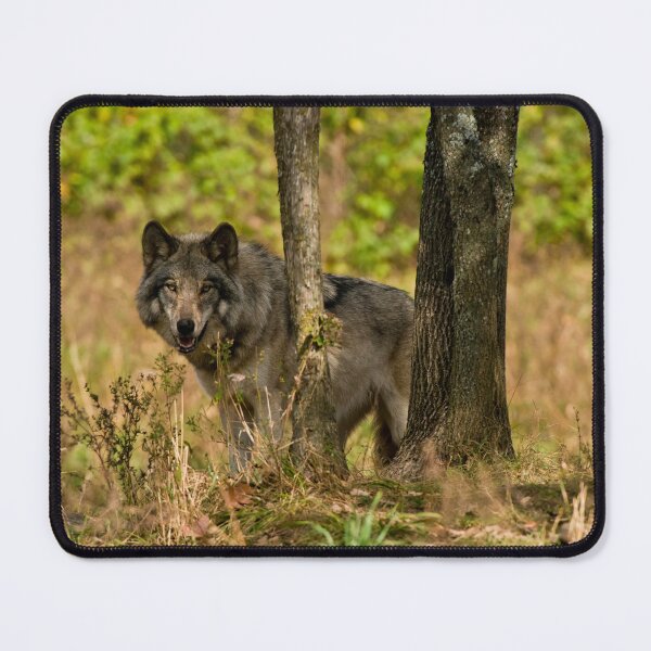Item preview, Timber Wolf designed and sold by WolvesOnly.
