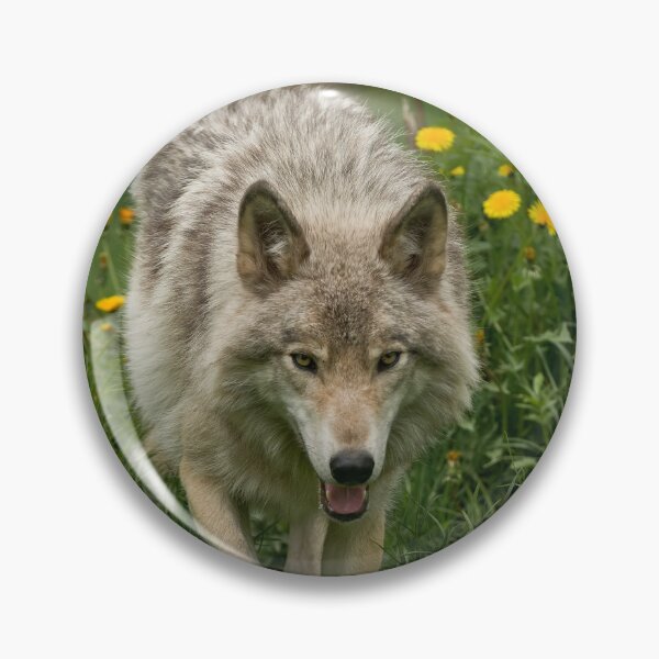 Item preview, Timber Wolf designed and sold by WolvesOnly.