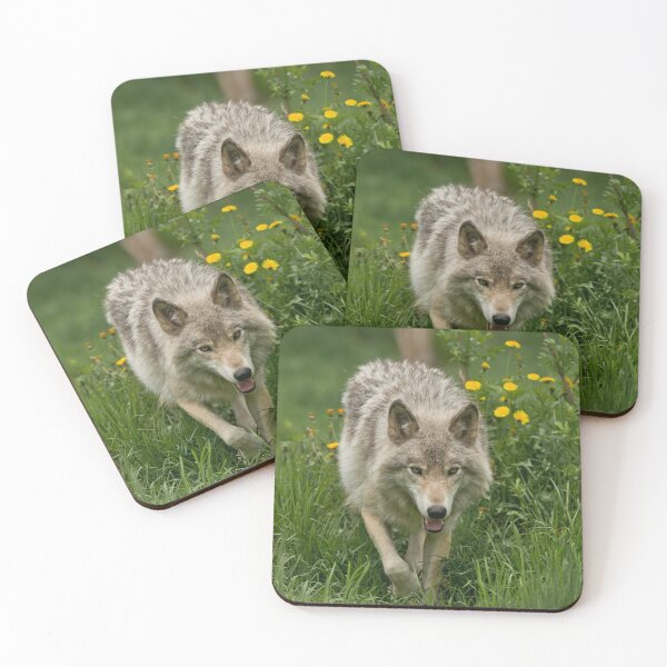 Item preview, Timber Wolf designed and sold by WolvesOnly.