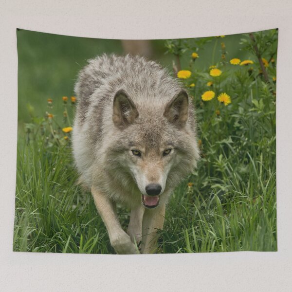 Item preview, Timber Wolf designed and sold by WolvesOnly.