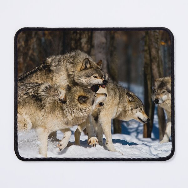 Artikelvorschau, Timber Wolves entworfen und verkauft von WolvesOnly.