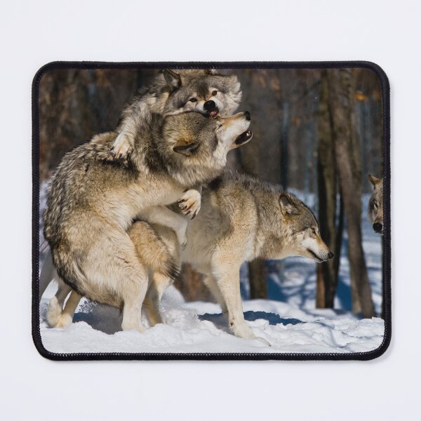 Artikelvorschau, Timber Wolves entworfen und verkauft von WolvesOnly.