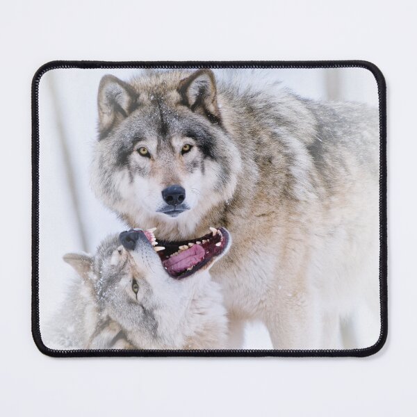 Item preview, Timber Wolves designed and sold by WolvesOnly.