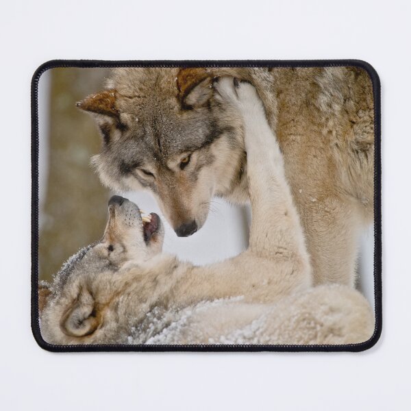 Item preview, Timber Wolves designed and sold by WolvesOnly.