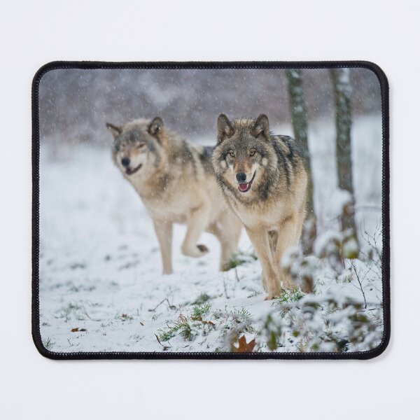Item preview, Timber Wolves designed and sold by WolvesOnly.