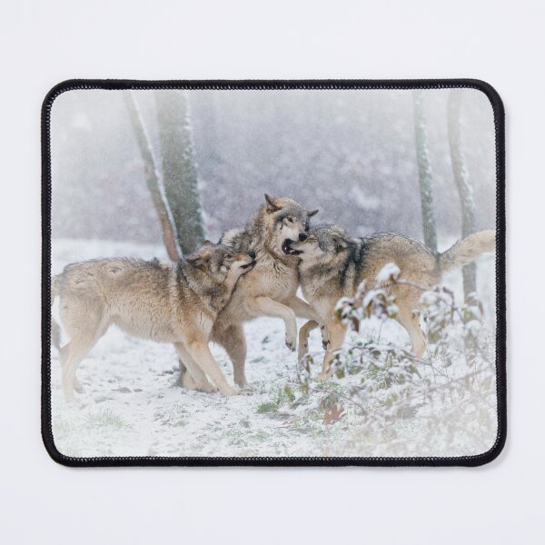 Item preview, Timber Wolves designed and sold by WolvesOnly.