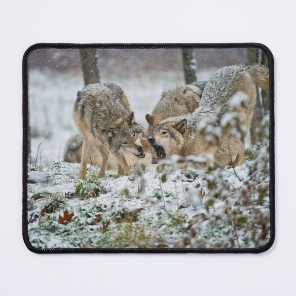 Item preview, Timber Wolves designed and sold by WolvesOnly.
