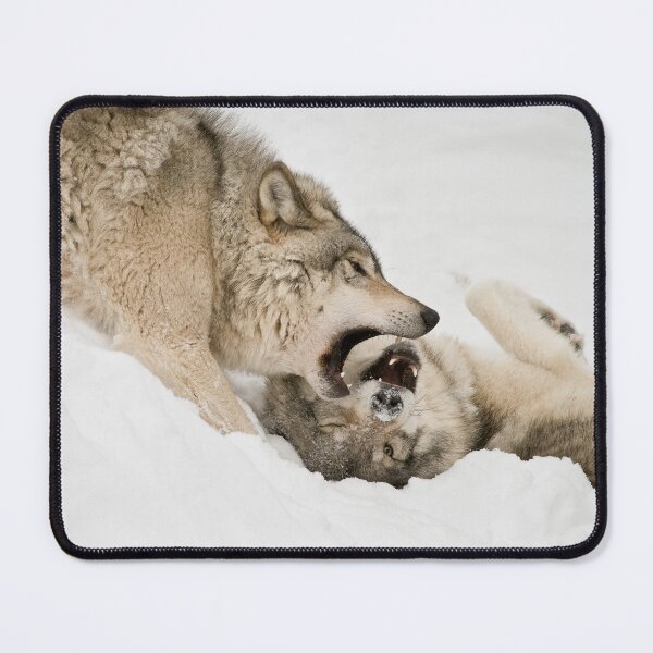 Item preview, Timber Wolves designed and sold by WolvesOnly.