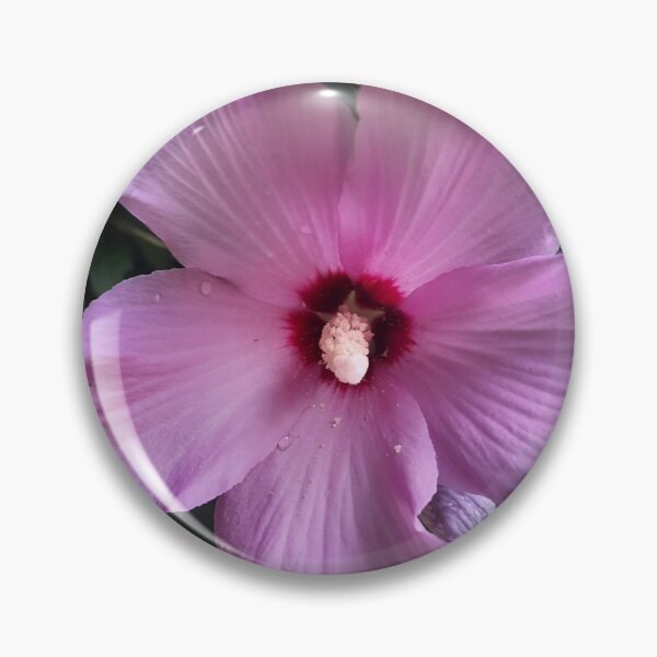 Aperçu de l'œuvre ambiance estivale hibiscus créée et vendue par barbich.