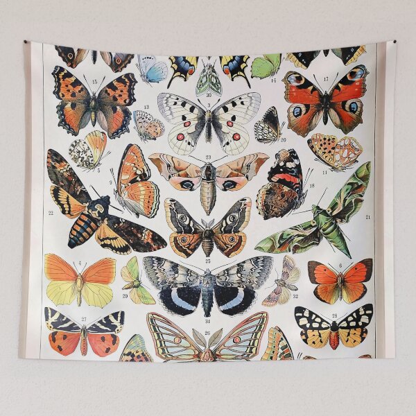 Item preview, Adolphe Millot - Papillons A - French vintage designed and sold by Pretty Hagravens.
