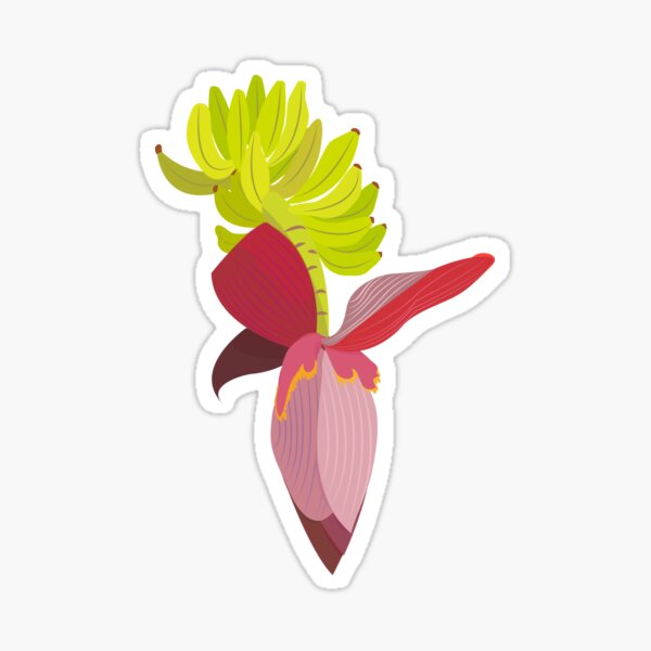 Banana flower Sticker