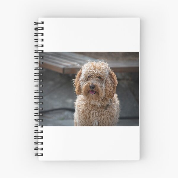 Artikelvorschau, HUNDES LOCKIGES HAAR entworfen und verkauft von BE-FOCUS.