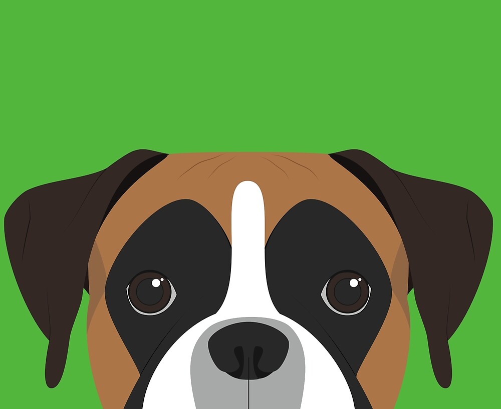 "Boxer Dog Portrait Illustration" by Redbubble