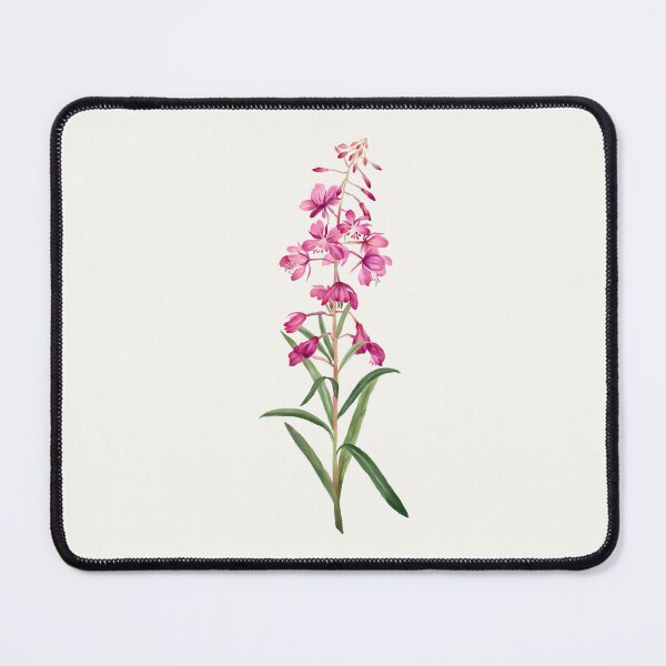 Item preview, Fireweed Watercolour Botanical designed and sold by Geo Gia.