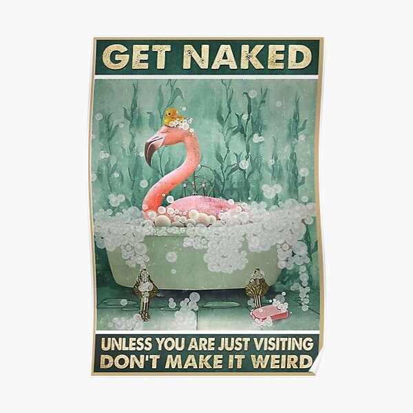Cute Flamingo Get Naked Unless You Are Just Visiting Don't Make It Weird Poster Poster