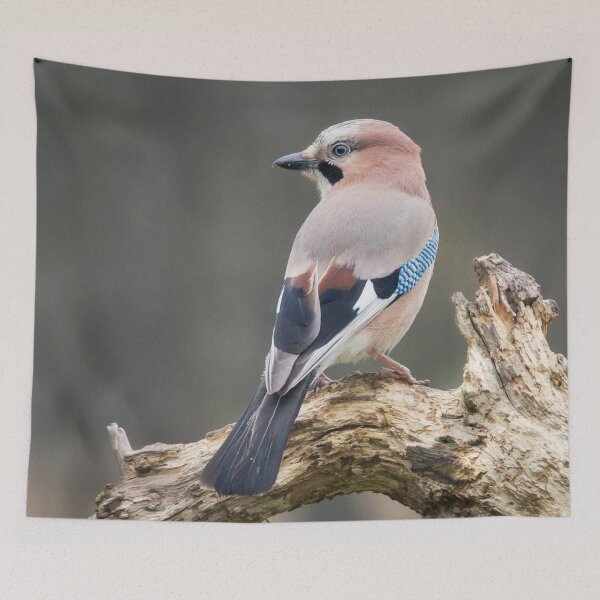 Item preview, Eurasian Jay #1 designed and sold by Dominika Aniola.