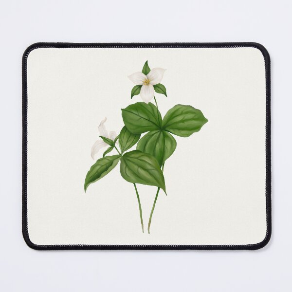 Item preview, Western Trillium Watercolour Botanical designed and sold by Geo Gia.
