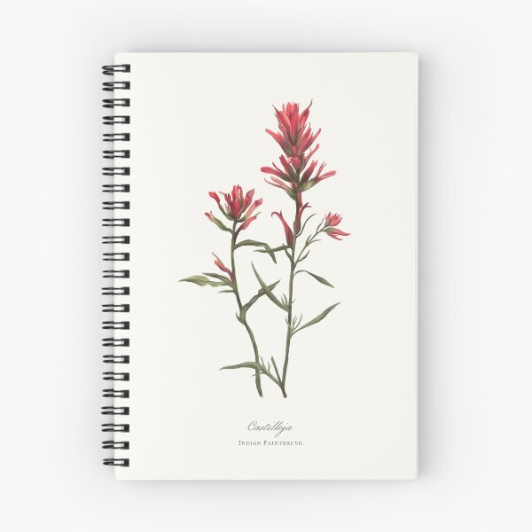 Item preview, Indian Paintbrush Watercolour Botanical designed and sold by Geo Gia.