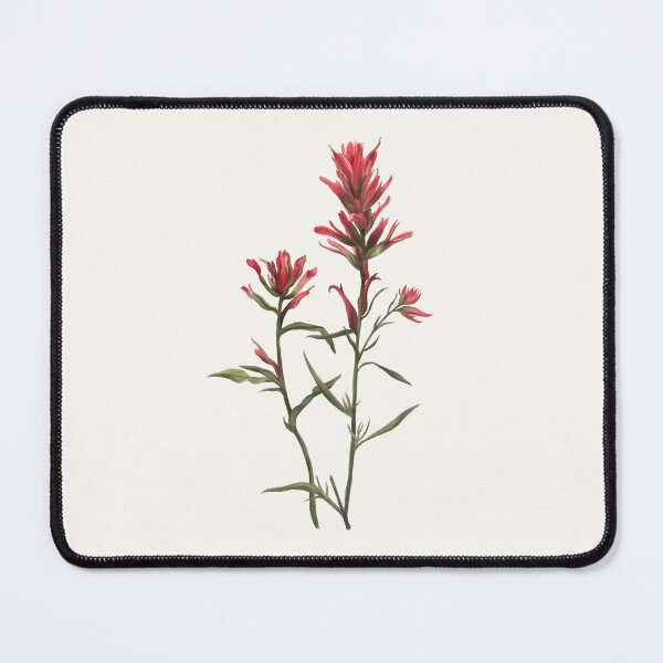 Item preview, Indian Paintbrush Watercolour Botanical designed and sold by Geo Gia.