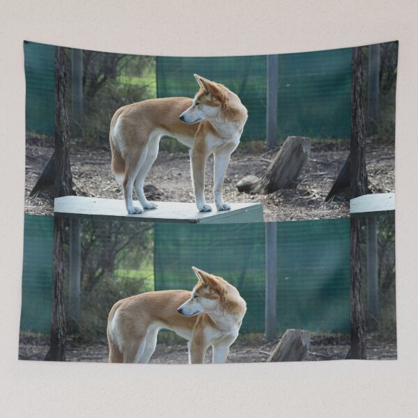 Item preview, DINGO designed and sold by kazaroodie.