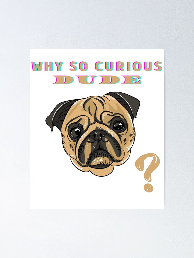 "why so curious !!" Poster for Sale by halimaagshop | Redbubble
