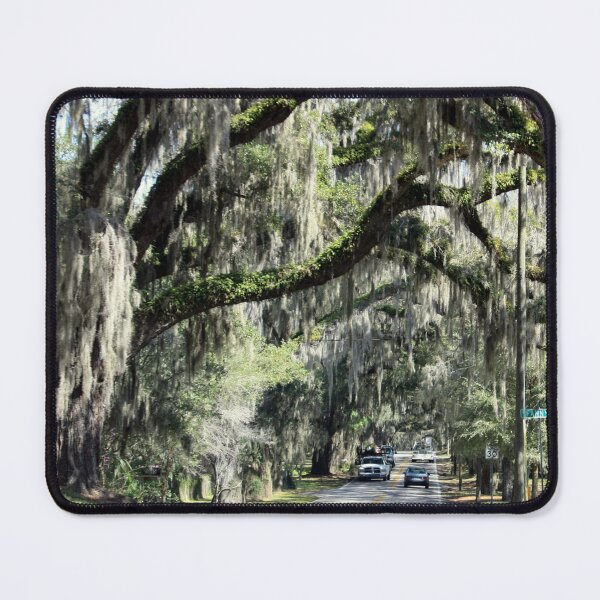 Item preview, Floral City, Florida ~ View 2 designed and sold by AuntDot.