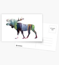 Moose Postcards