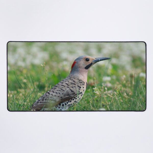 Item preview, A Northern Flicker designed and sold by alexandracpinto.