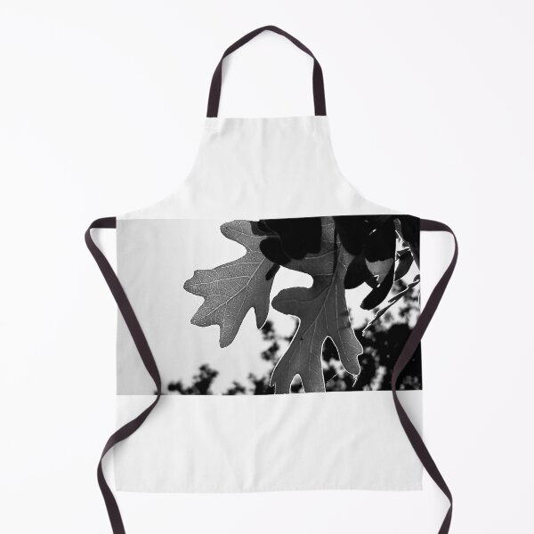 Item preview, Sunlight Backlit Oak Leaf designed and sold by Samuel Schaar.