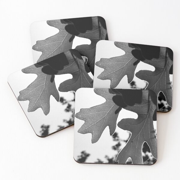 Item preview, Sunlight Backlit Oak Leaf designed and sold by Samuel Schaar.